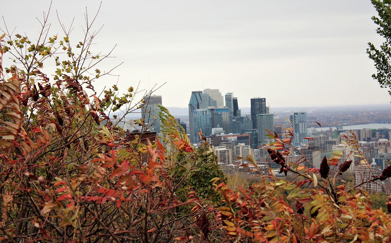 fall  montreal  quebec free photo