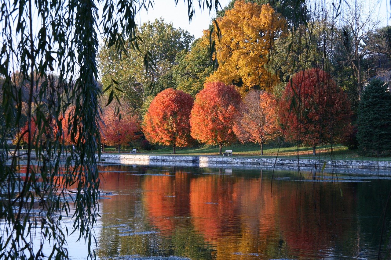 fall  lake  landscape free photo