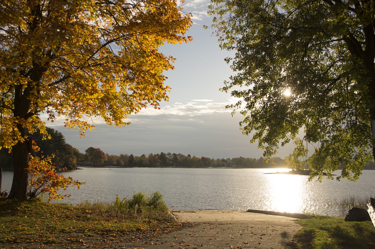 fall  lake  trees free photo