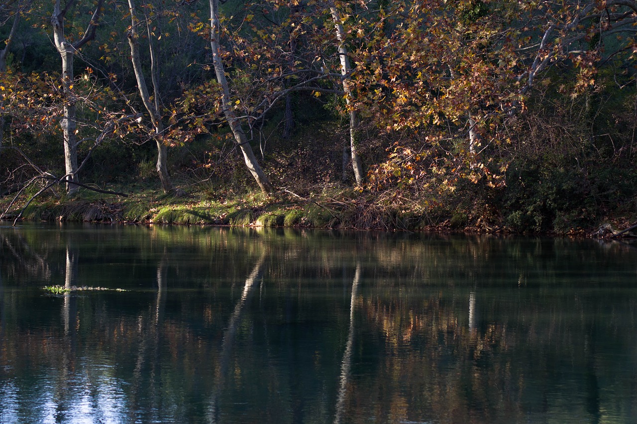 fall  lake  trees free photo