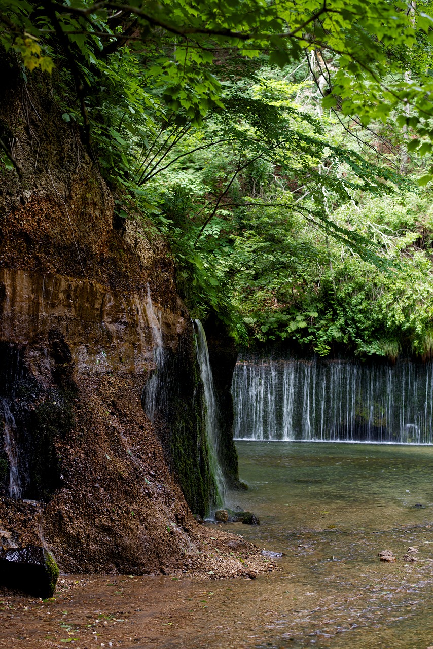 fall  japan  natural free photo