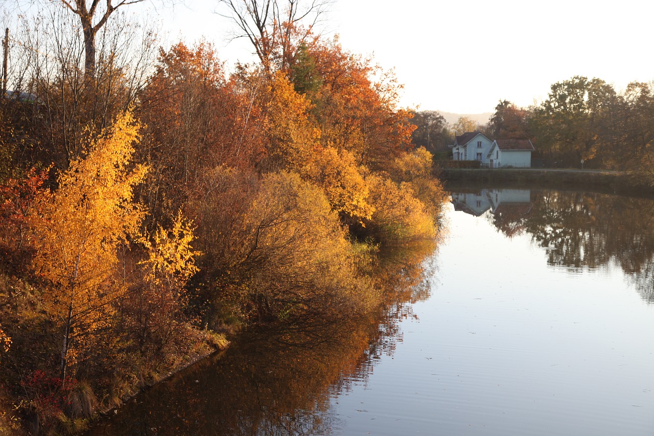 fall  channel  orange free photo