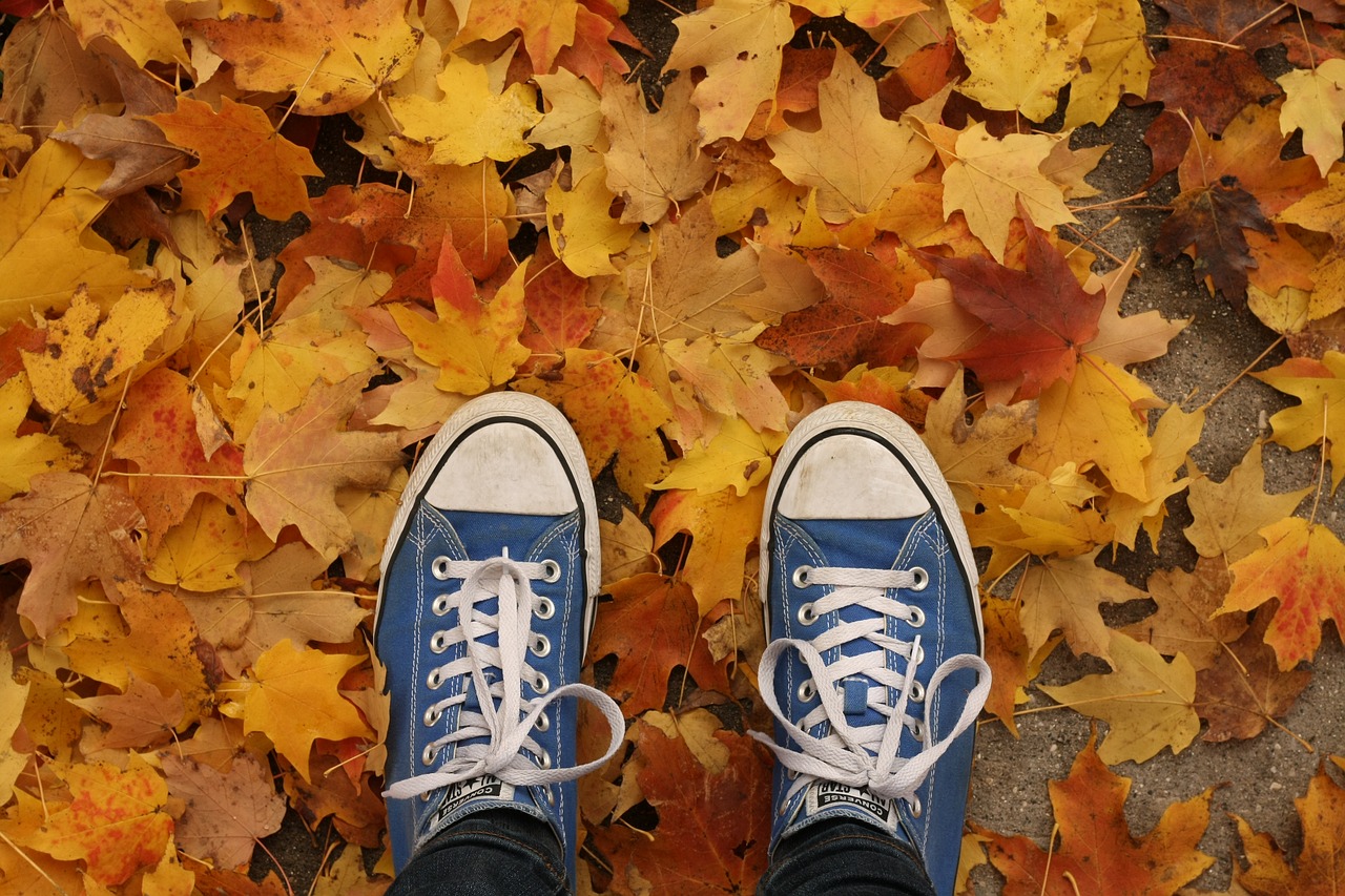 fall  autumn  shoes free photo