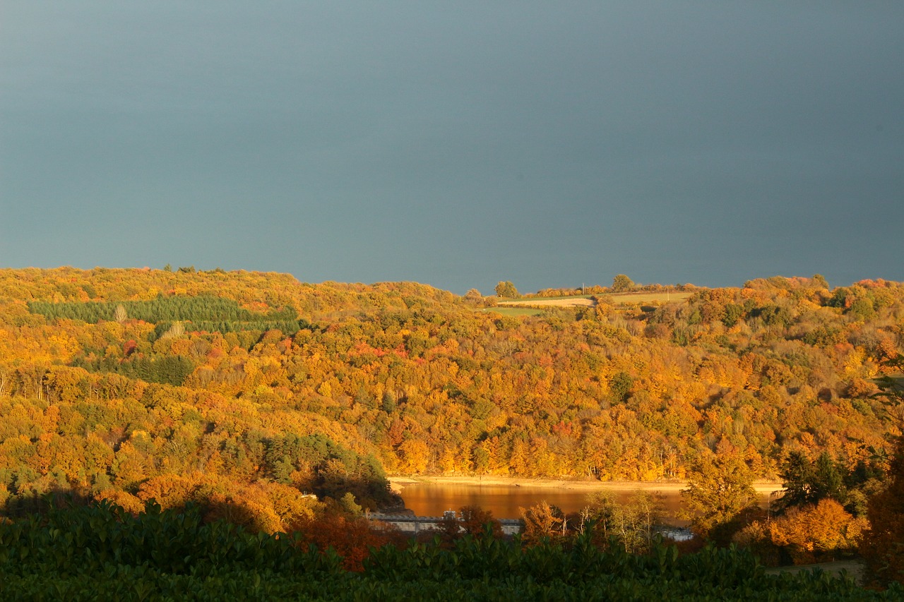 fall  landscape  nature free photo