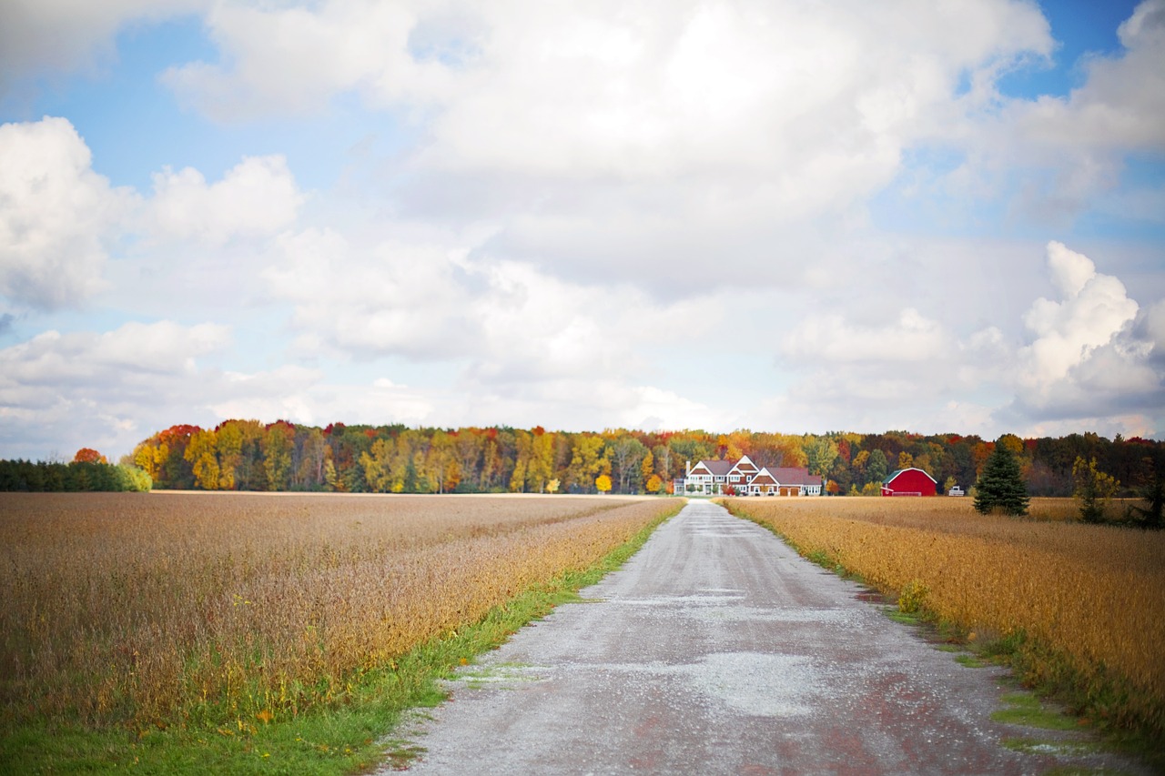 road street rural free photo