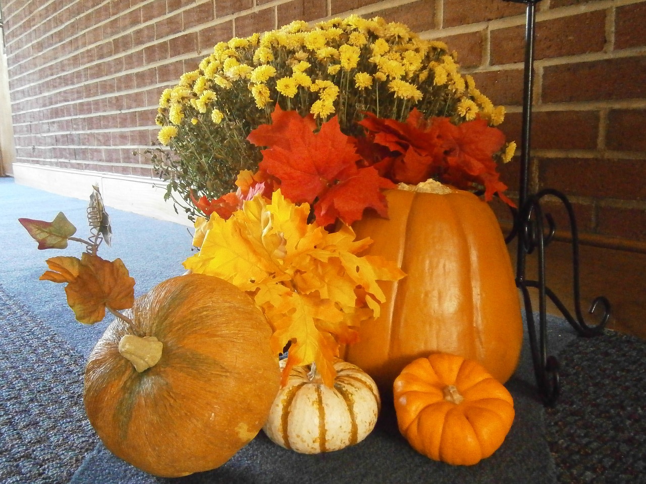 fall autumn pumpkin free photo