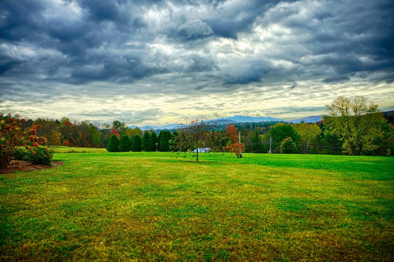 fall foliage mountains free photo