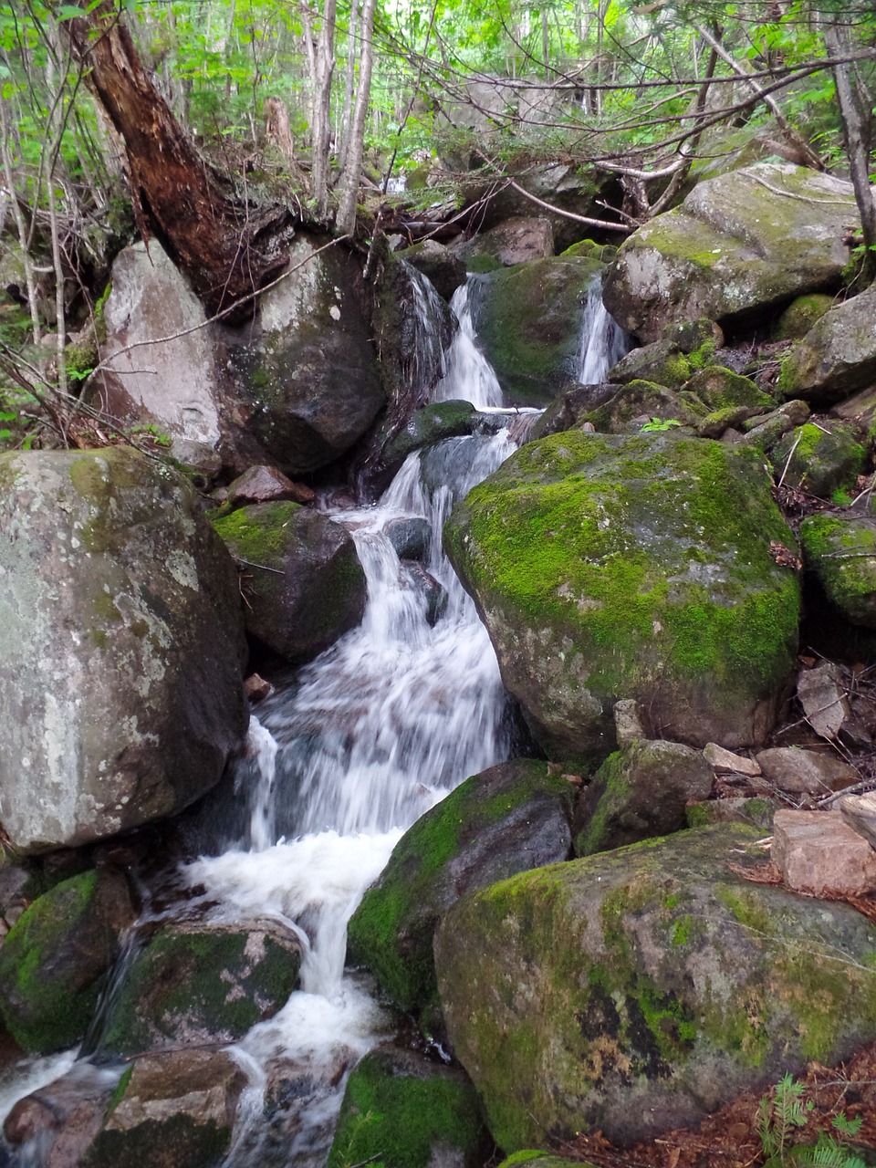 fall nature cascade free photo