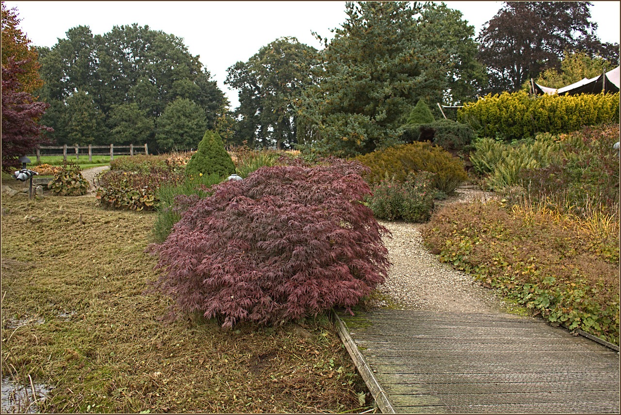 fall background park free photo