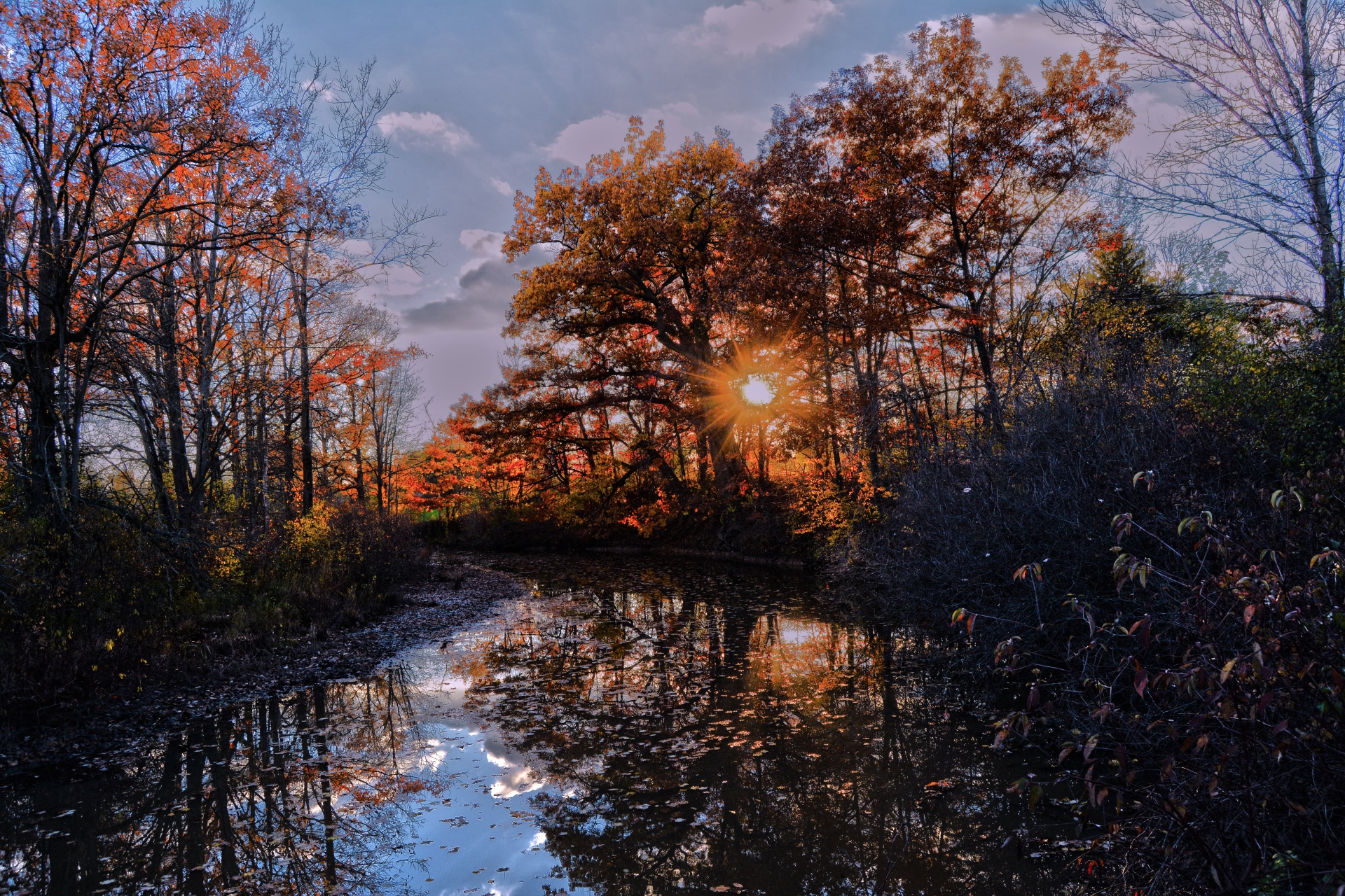 fall sun sunset free photo