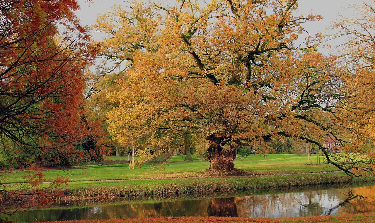 fall colors nature autumn free photo