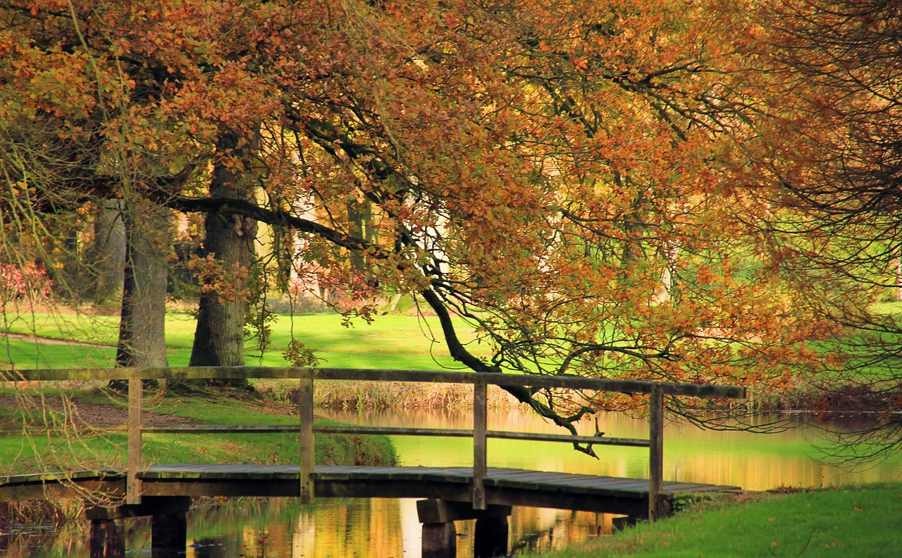 fall colors nature autumn free photo