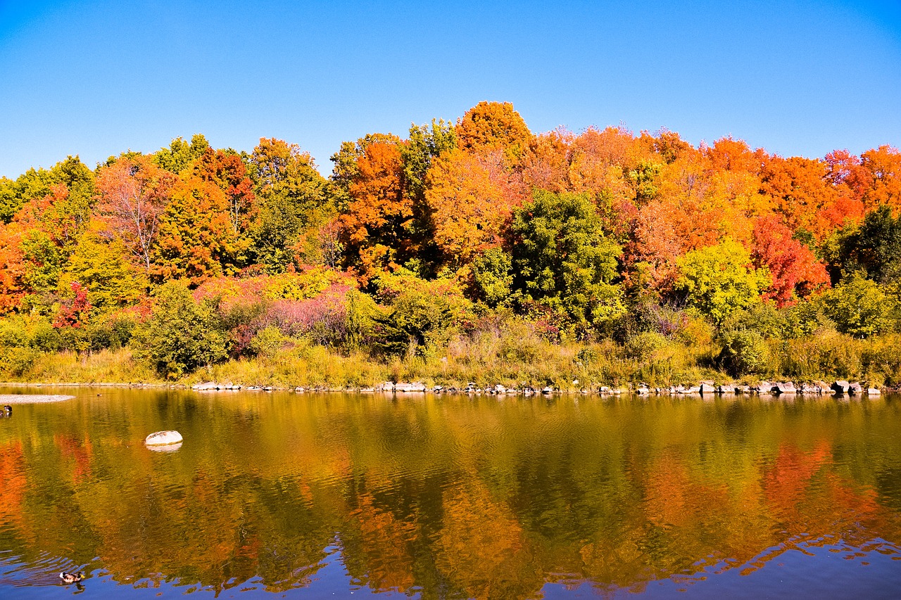 fall colors canada landscape free photo