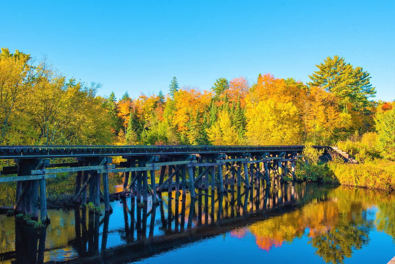 fall colors  bridge  autumn free photo