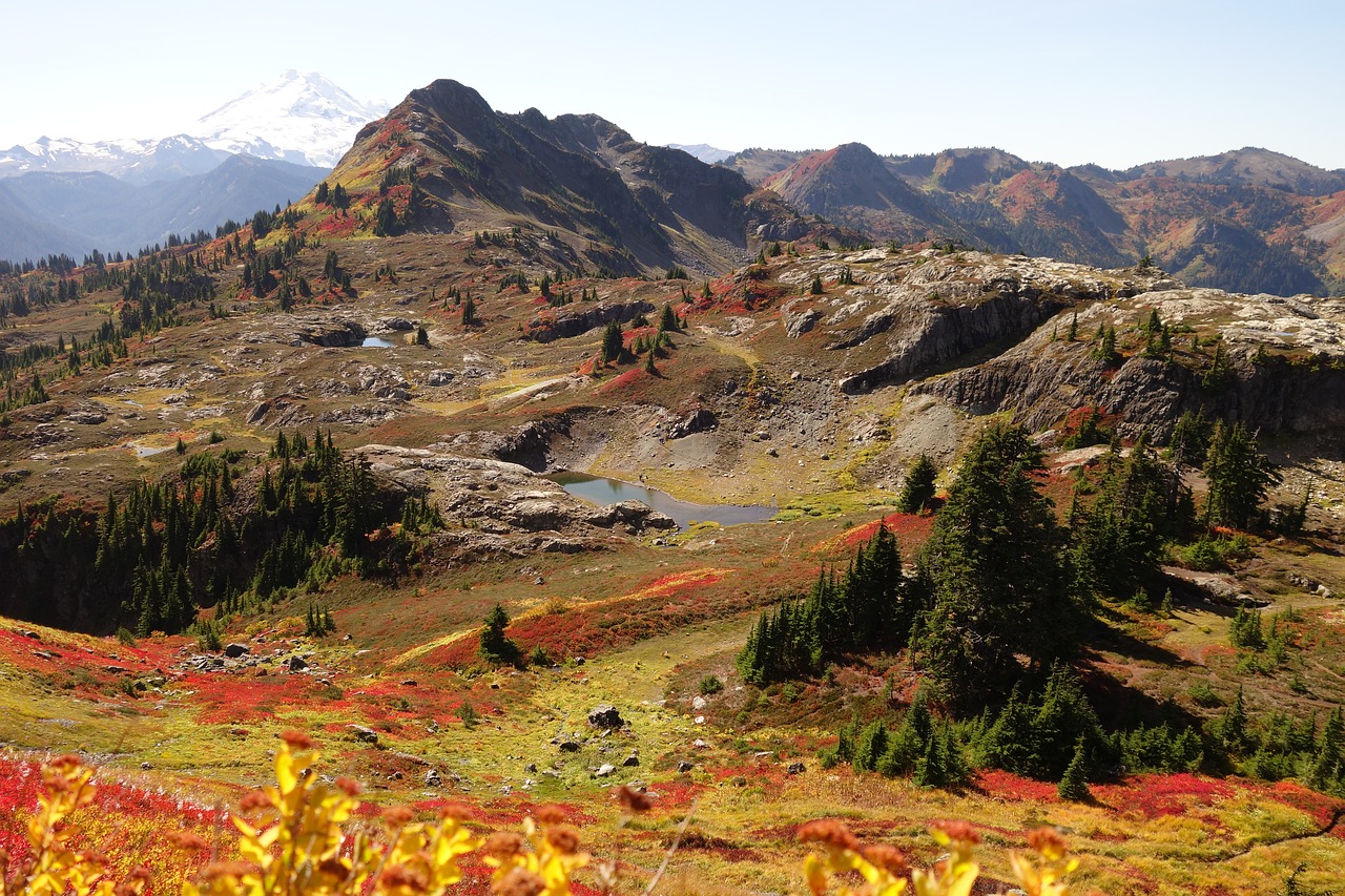 fall colors  autumn  mountains free photo