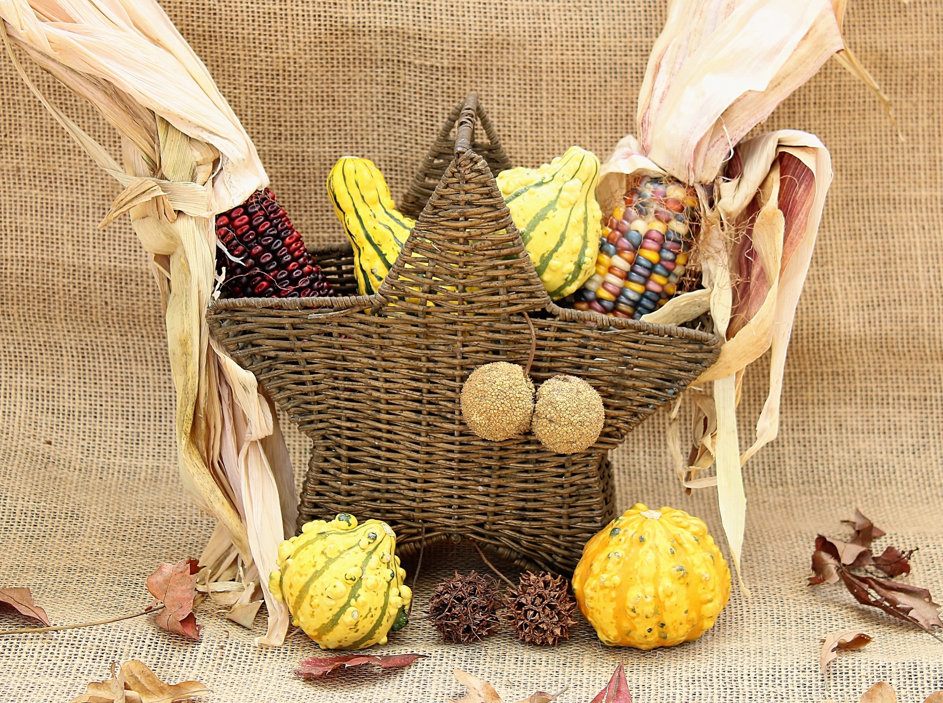 autumn fall basket free photo
