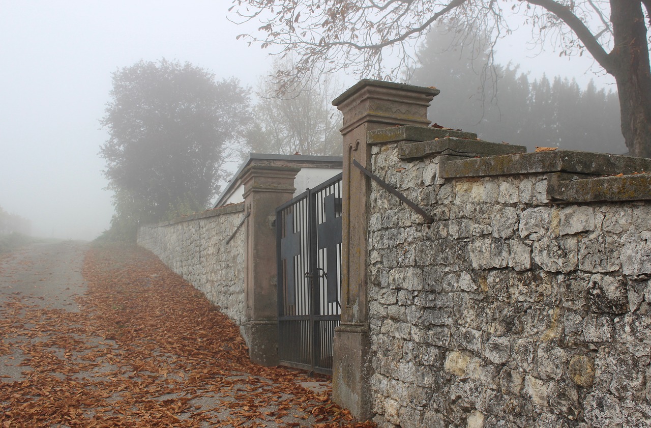 fall foliage cemetery fog free photo