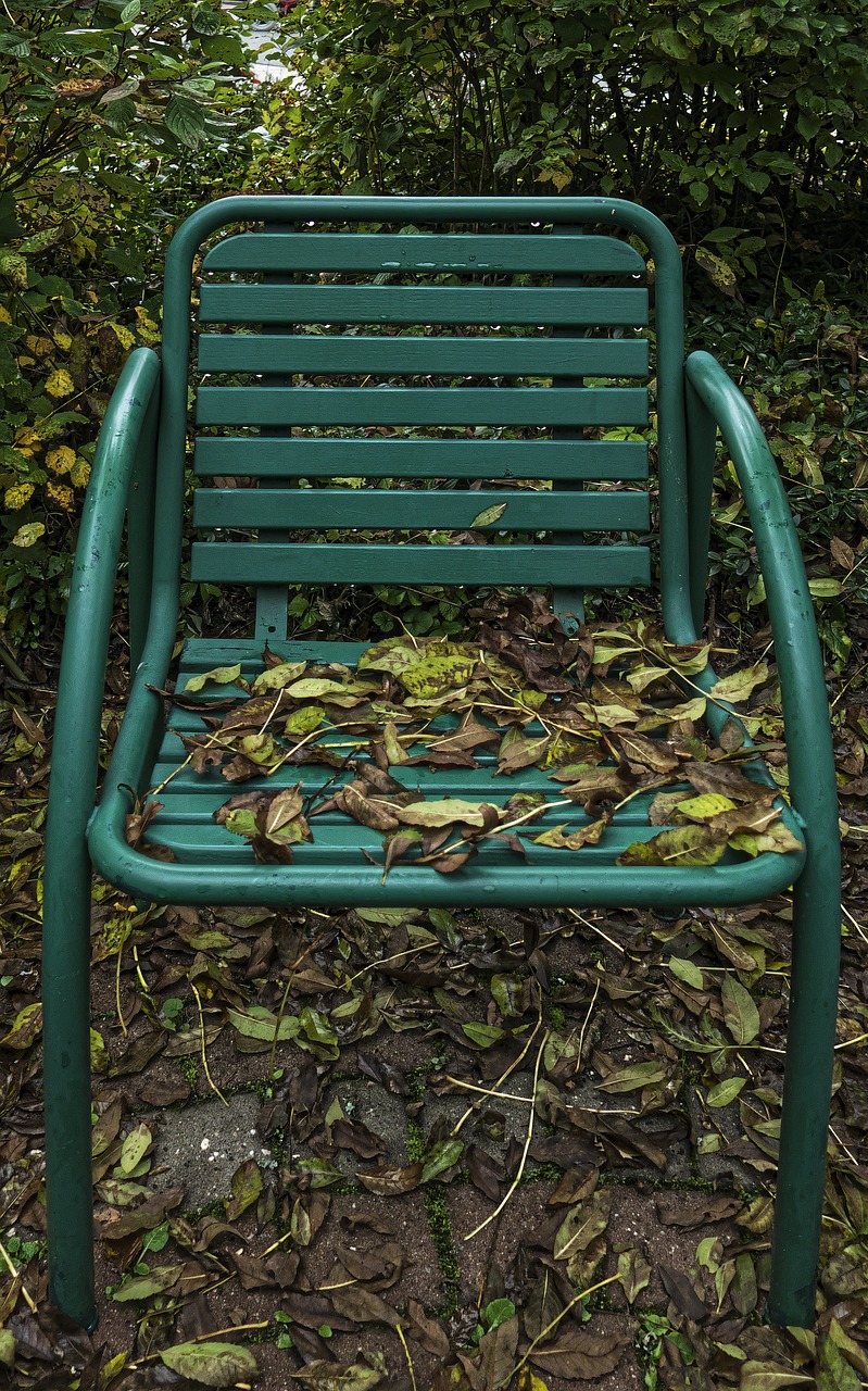 fall foliage chair garden chair free photo