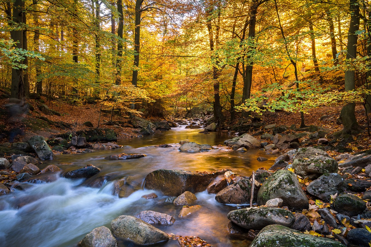 fall foliage ilse long exposure free photo