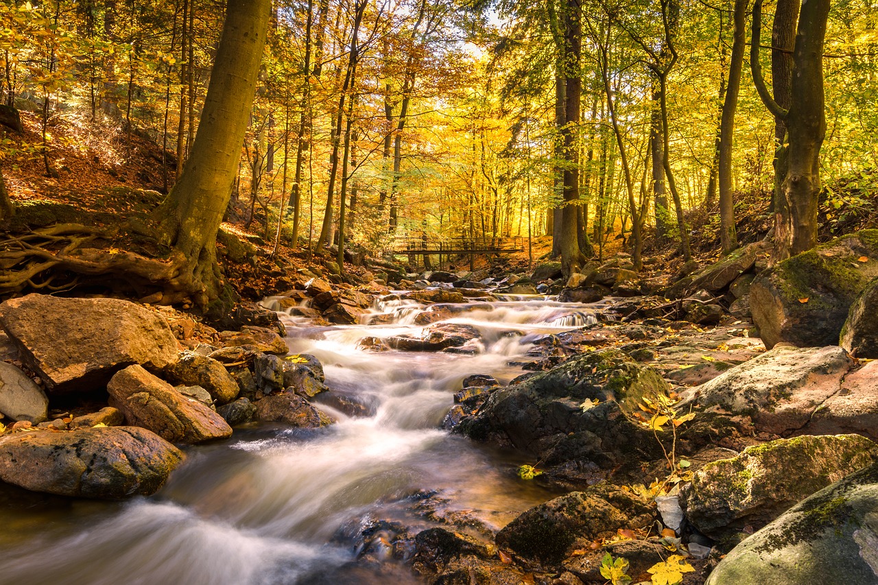 fall foliage ilse long exposure free photo