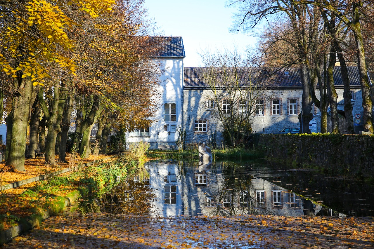 fall foliage  water reflection  autumn mood free photo