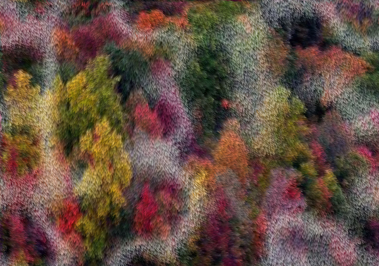 background flowers fall fur free photo