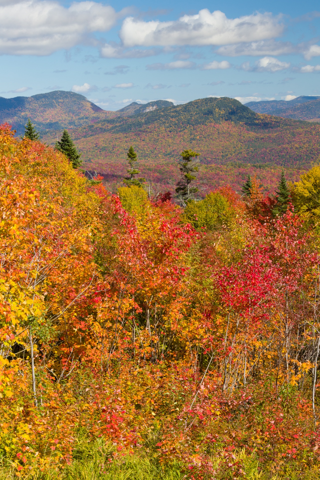 autumn color colors free photo