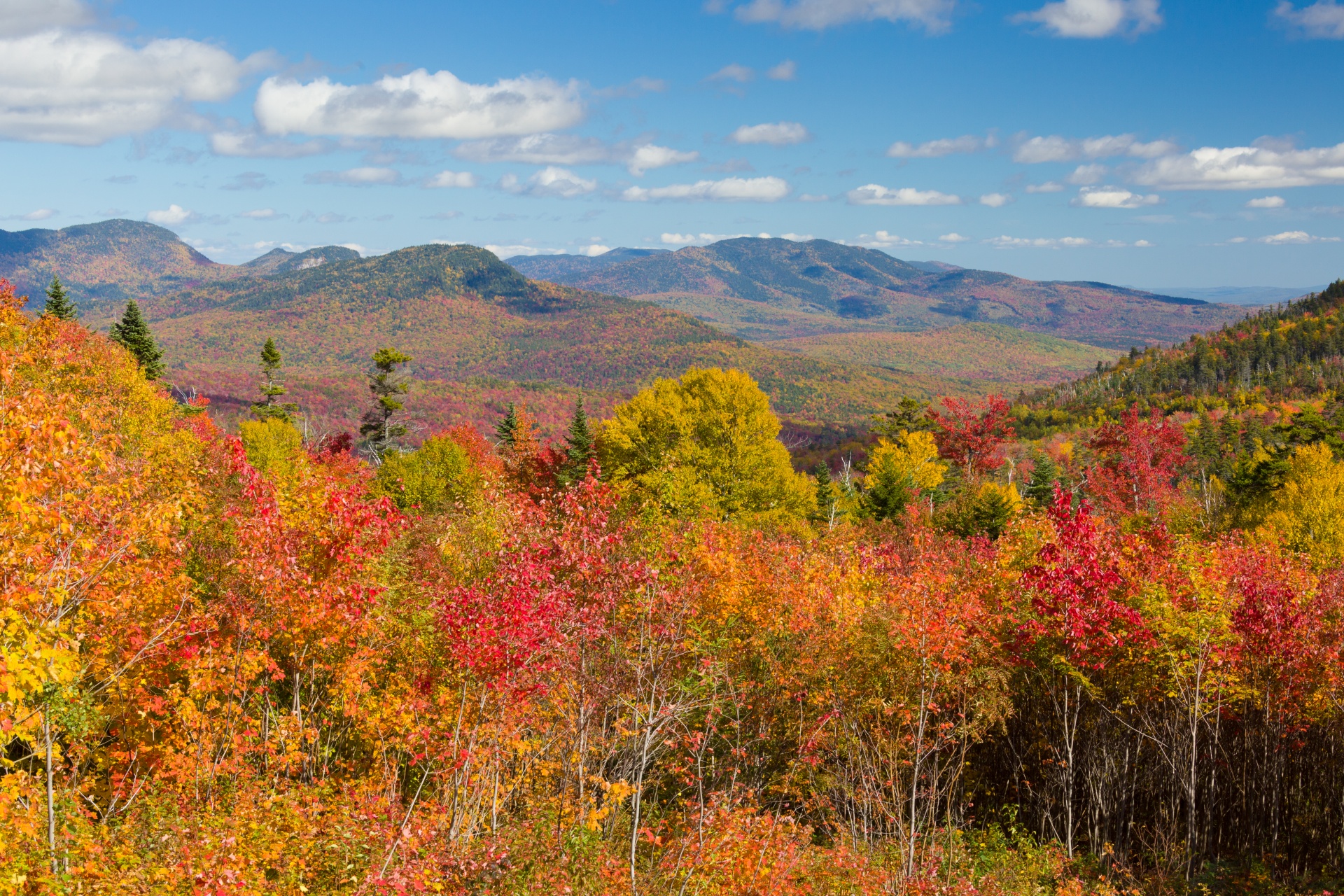 autumn color colors free photo