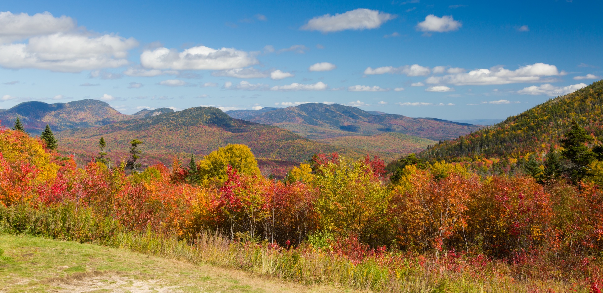 autumn color colors free photo