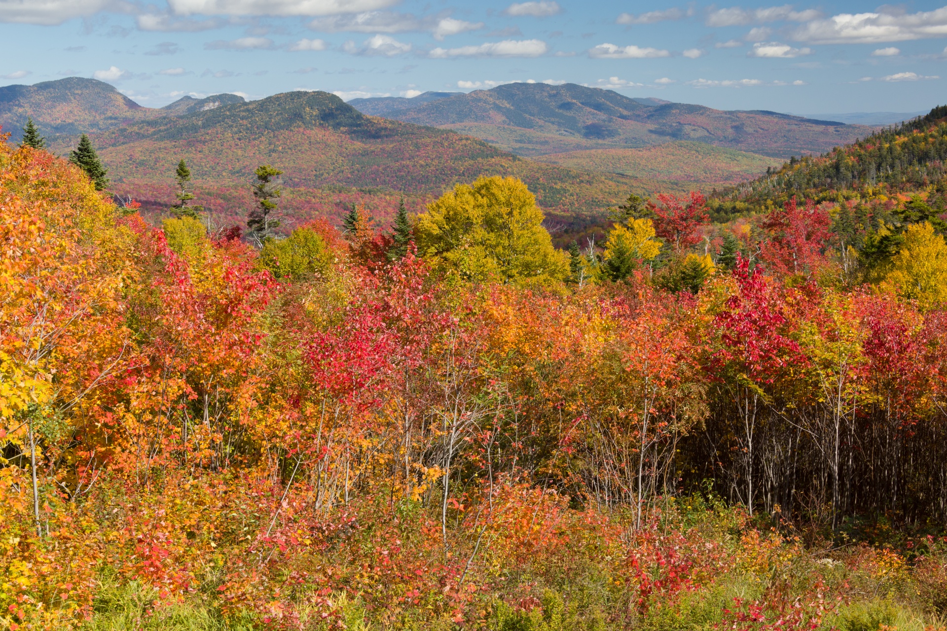 autumn color colors free photo