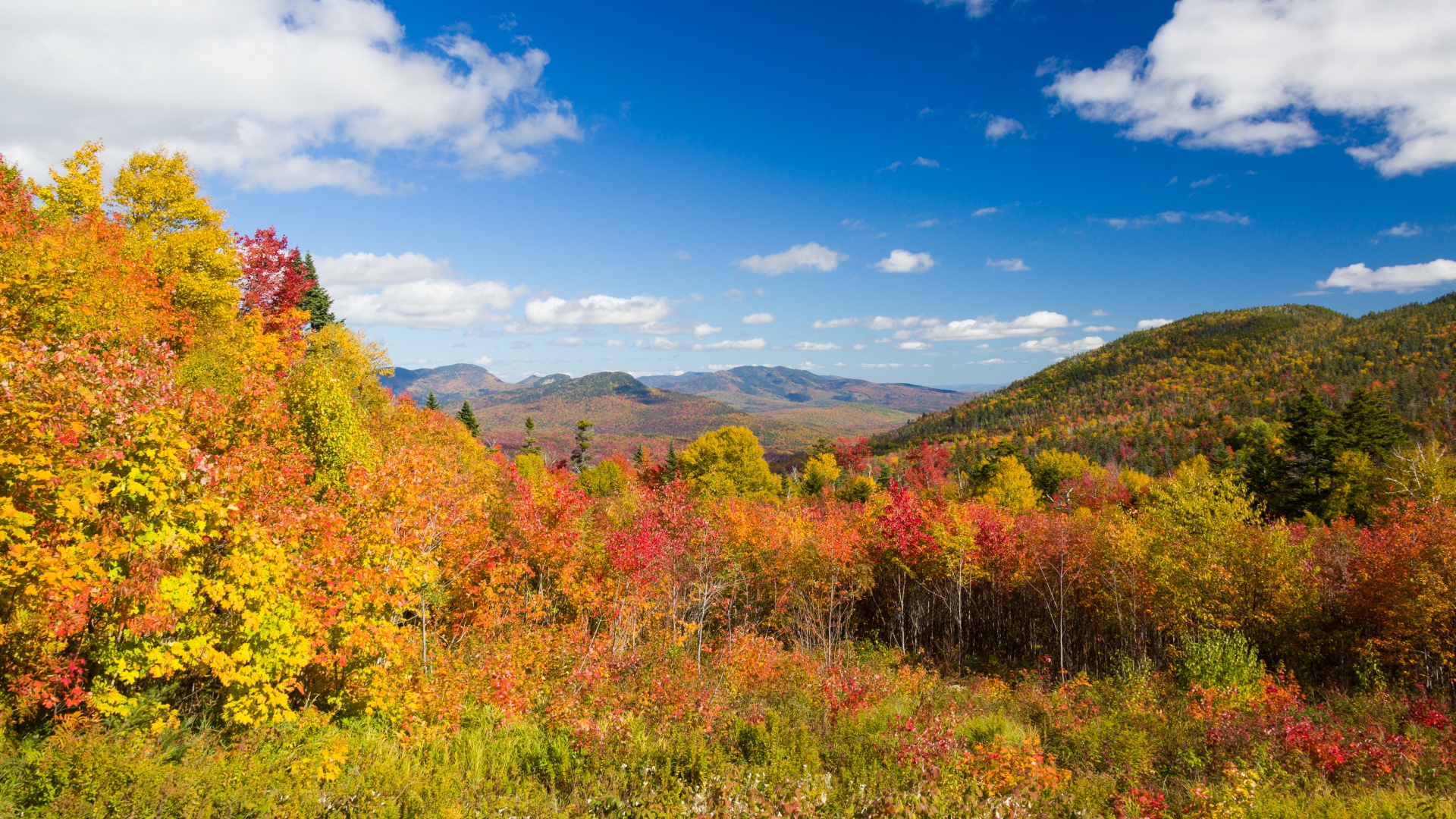 autumn color colors free photo