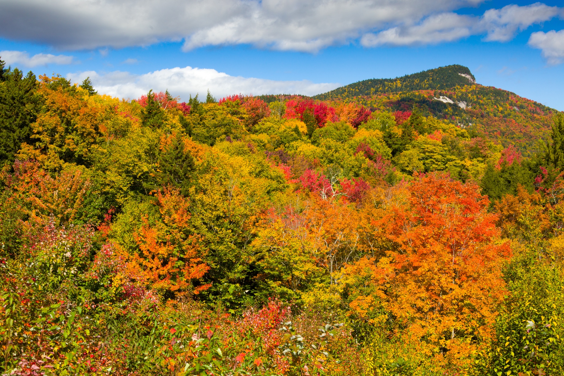 autumn color colors free photo