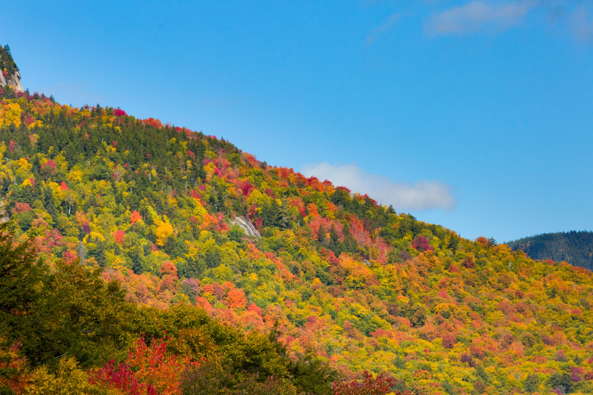 autumn color colors free photo