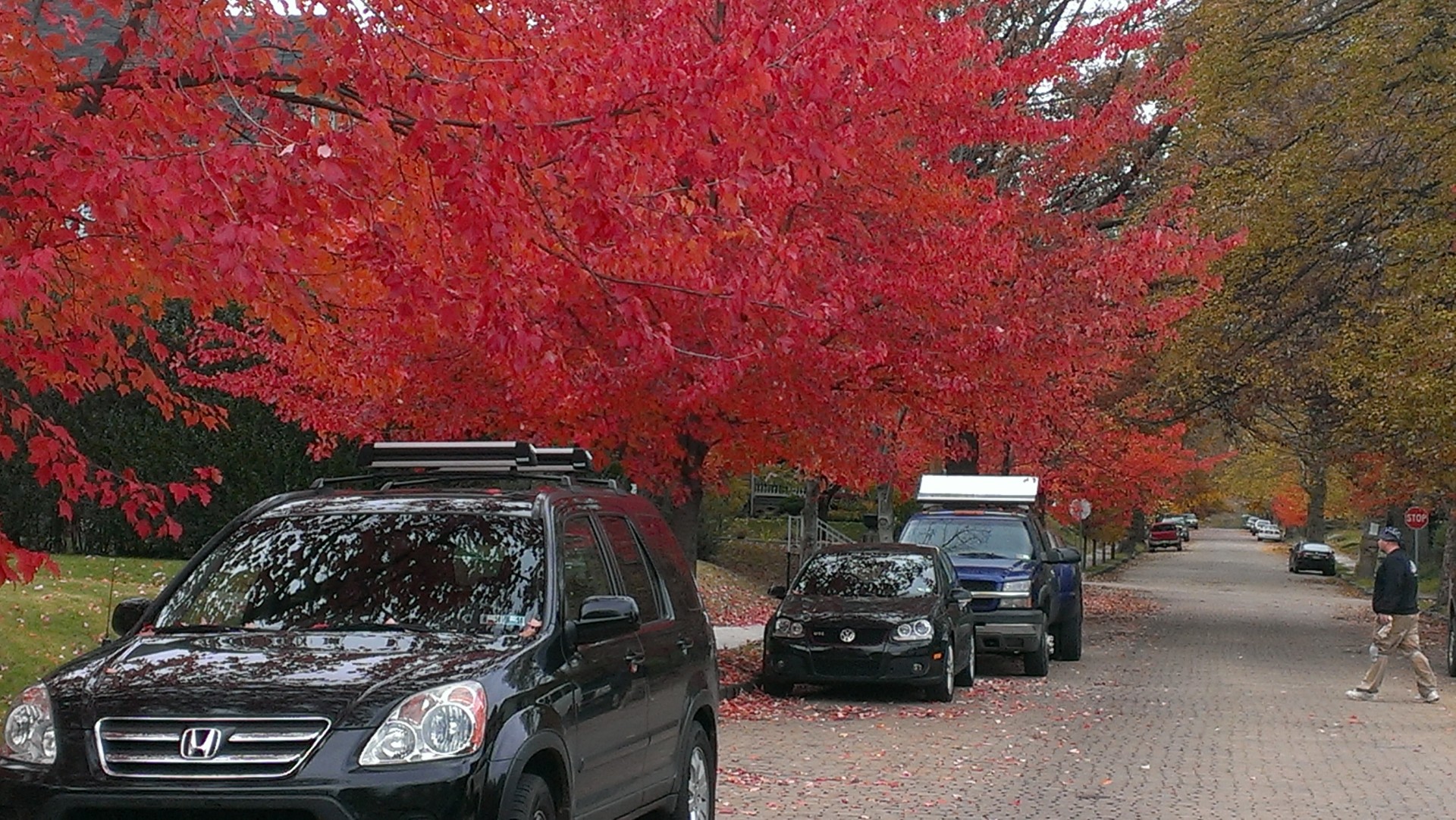 fall regent square pittsburgh free photo