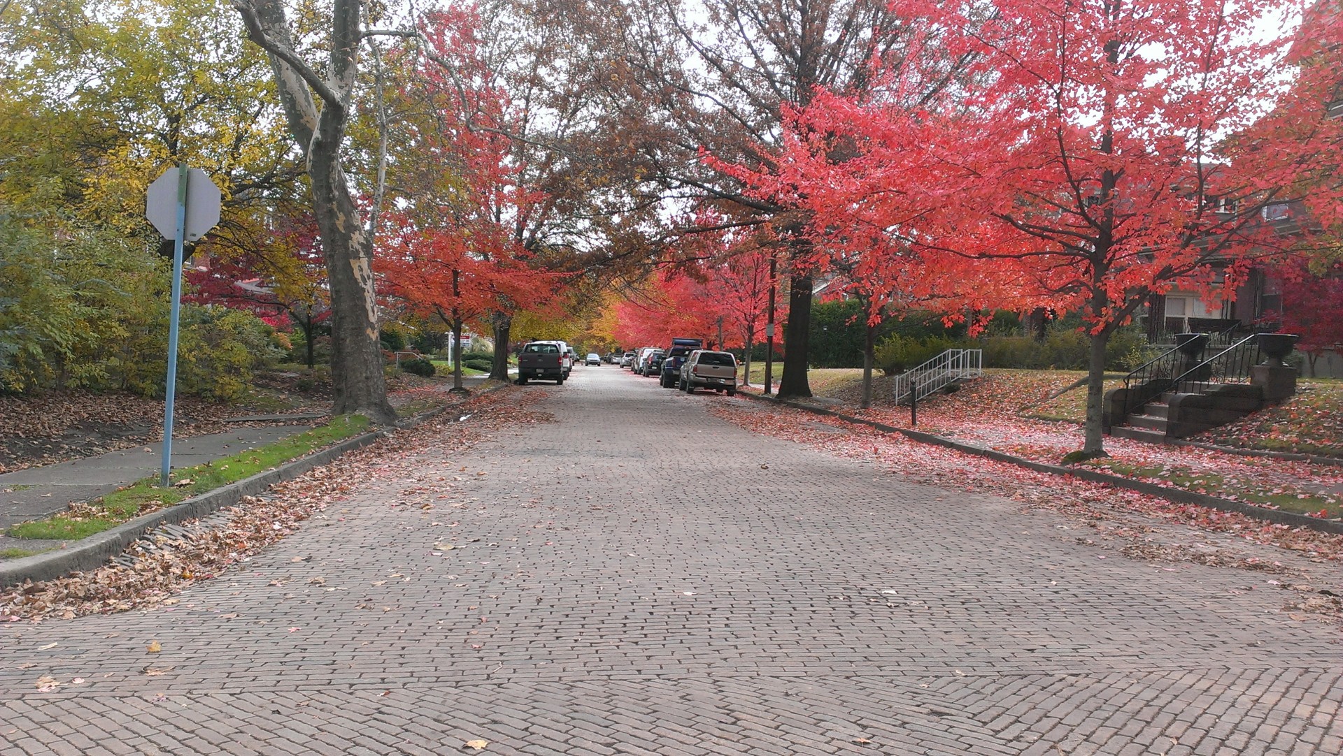 fall regent square pittsburgh free photo