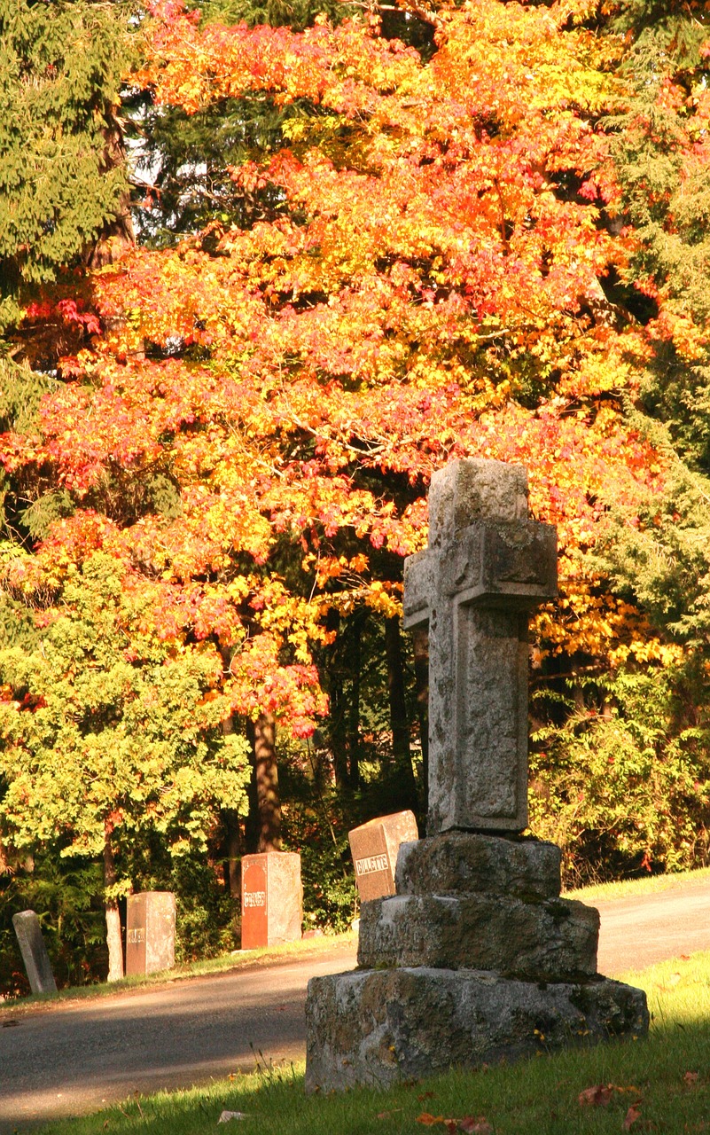 fall leaves cemetery season free photo