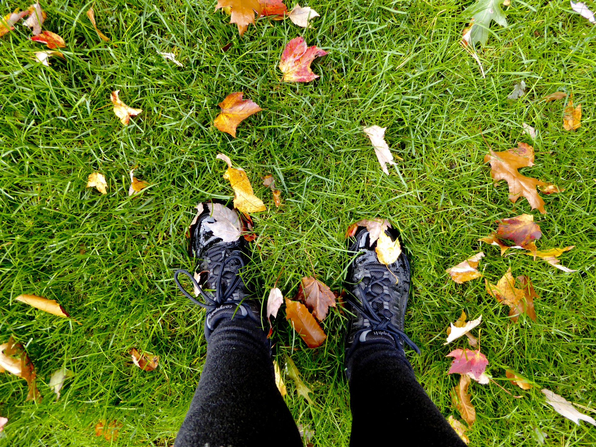 grass leaves feet free photo