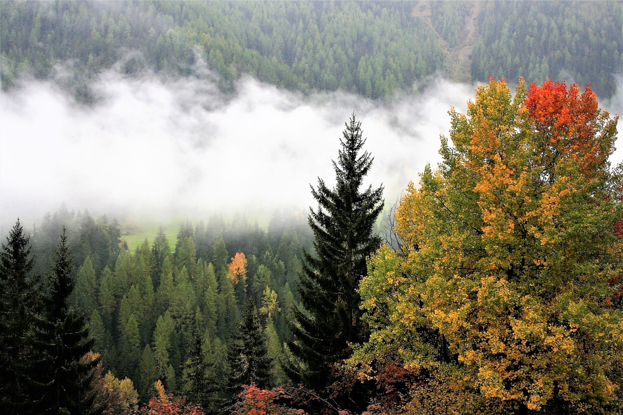 fall mountains colors tree free photo