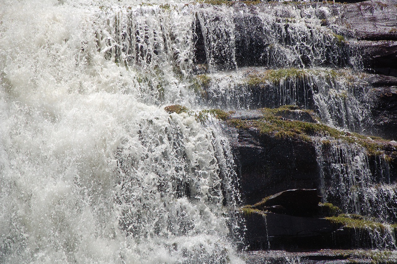 fall of water waterfall river free photo