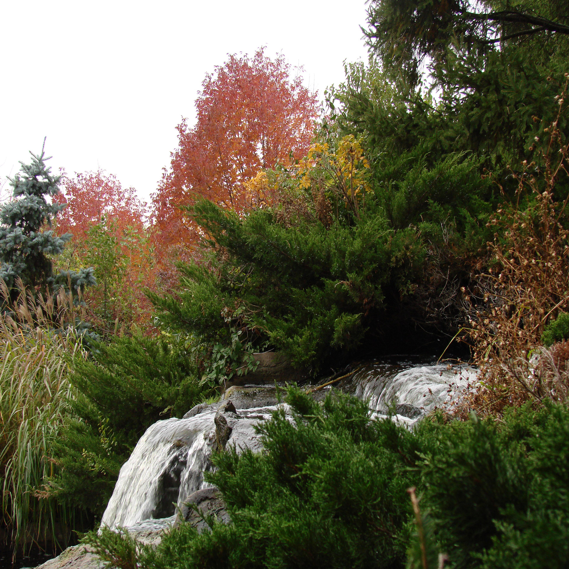 waterfall fall water free photo