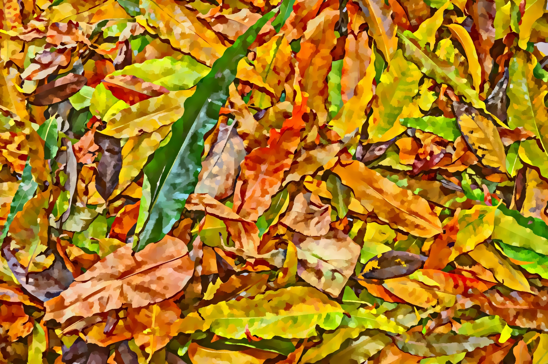 fall autumn leaves free photo