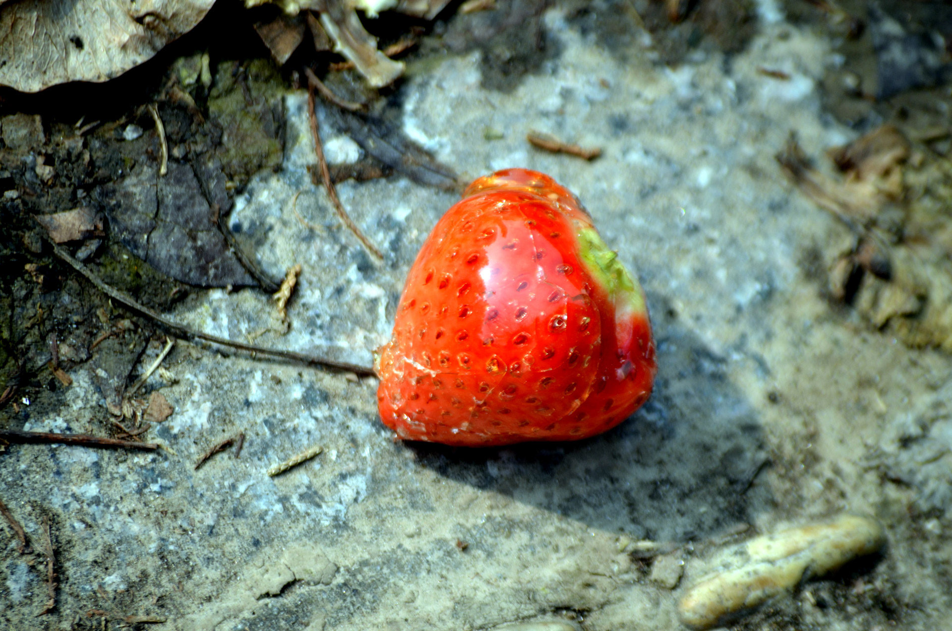 food strawberry fruit free photo