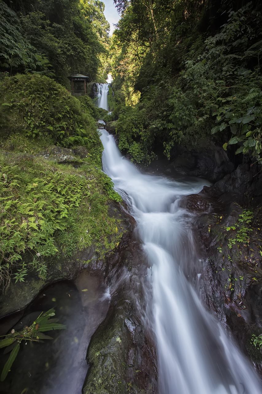 falls nature water free photo