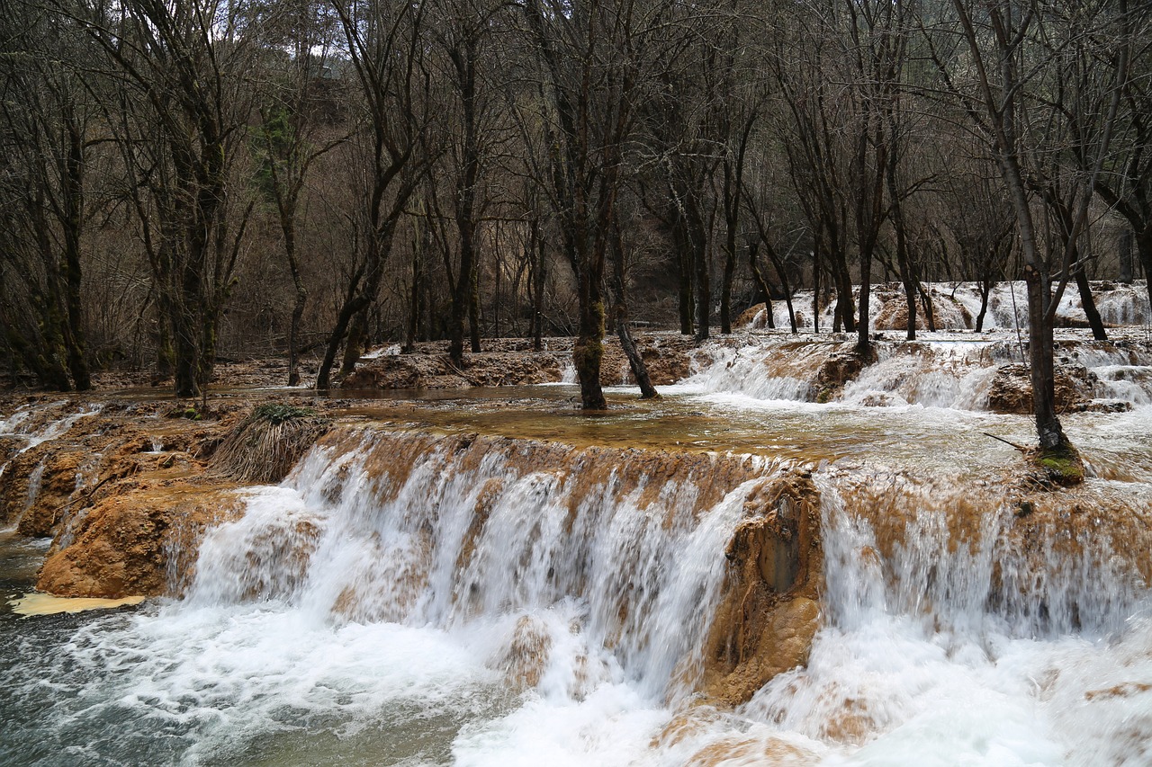 falls  jungle  water free photo