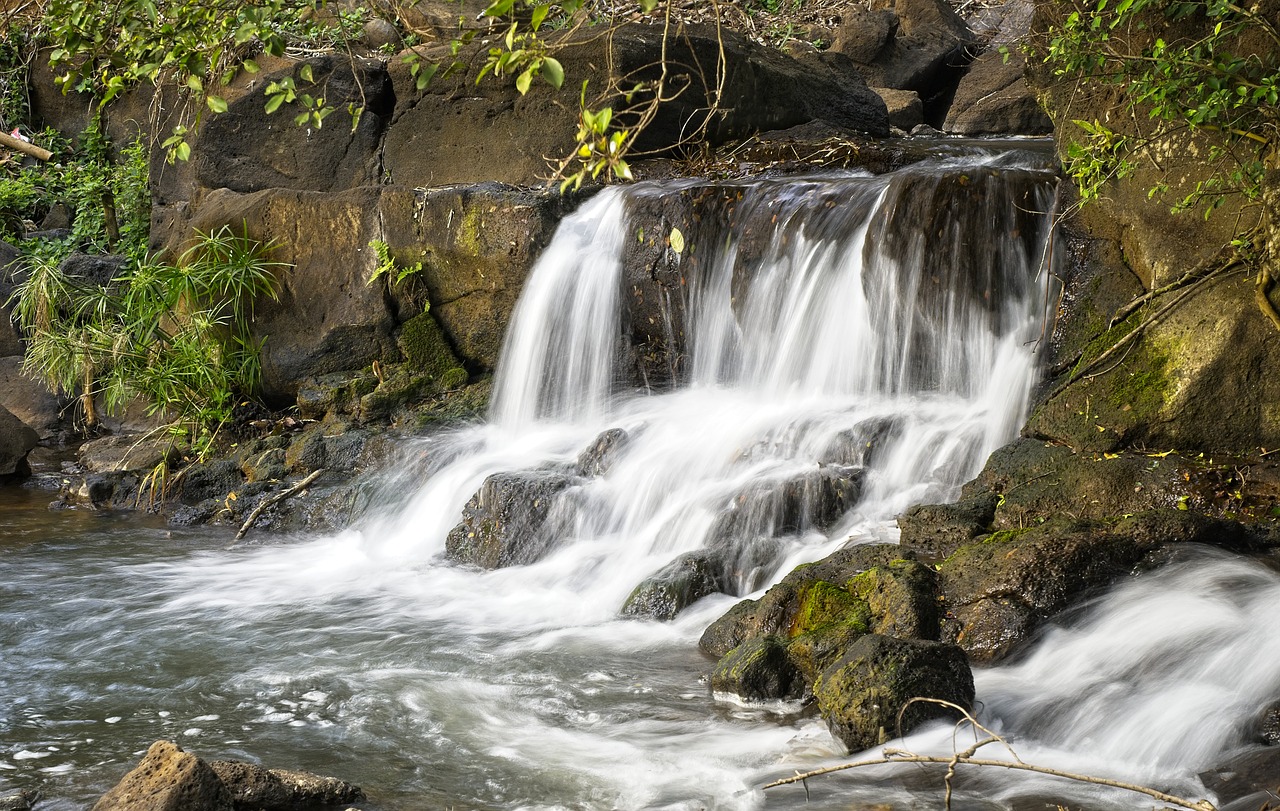 falls  stream  wild free photo