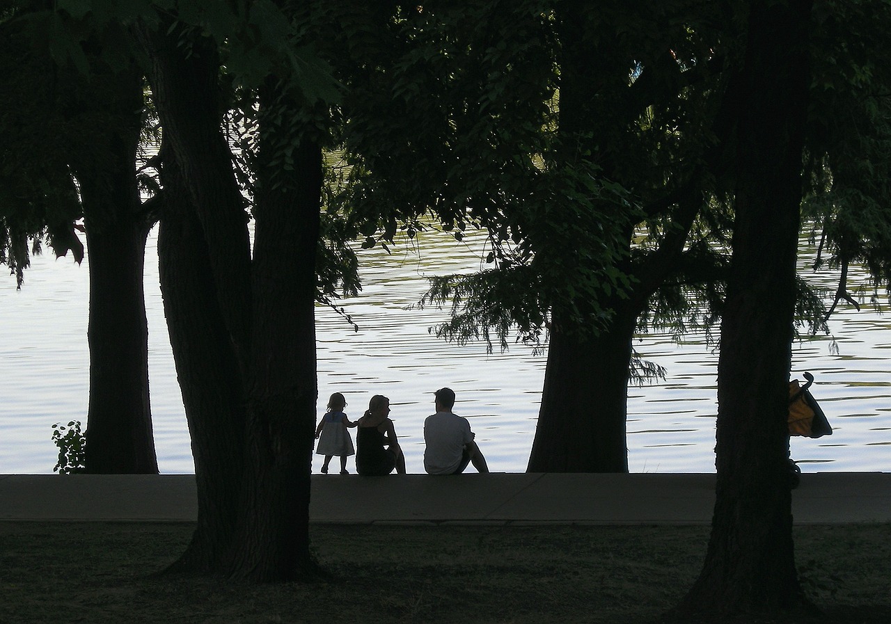 family evening silence free photo