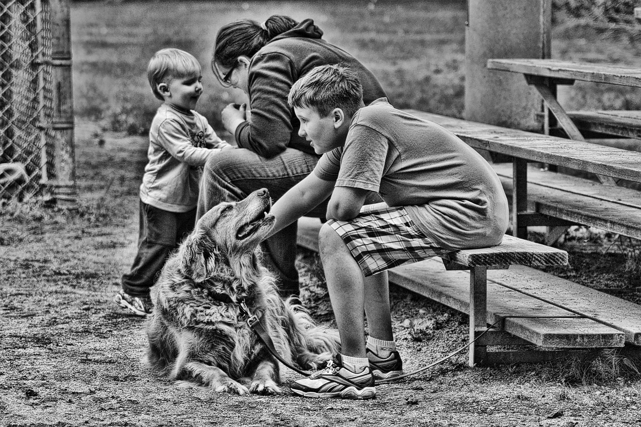 family kids dogs free photo