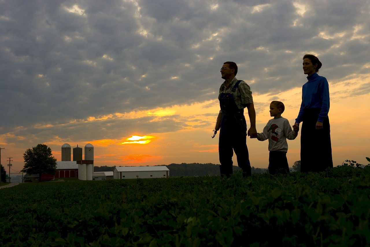 family farm sunset free photo