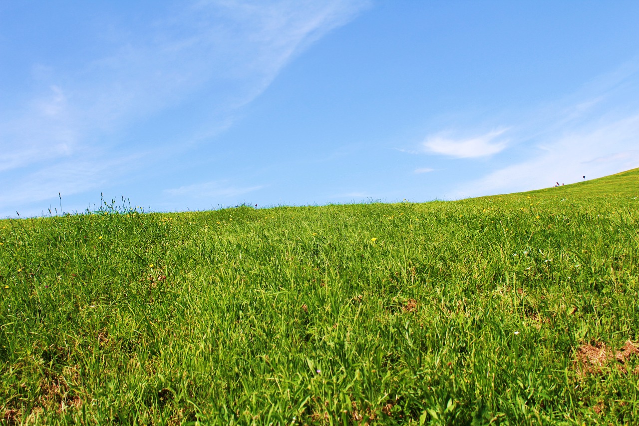 fantasia  sky  landscape free photo