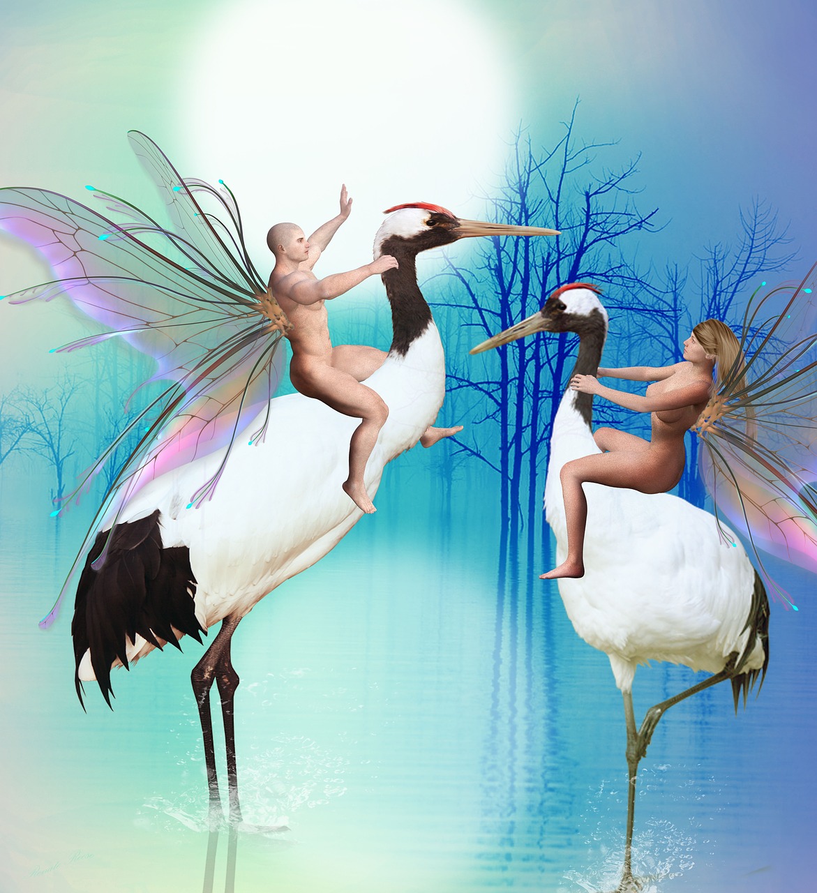 fantasy fairy bird free photo
